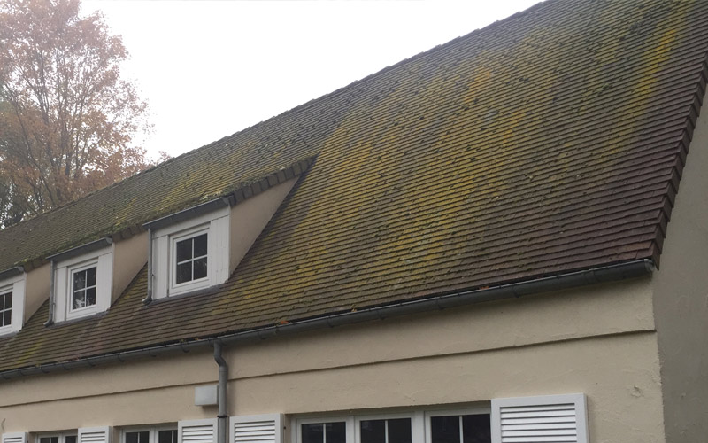 Demoussage et nettoyage de toits à Dottignies